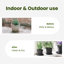 Round Flower Tray 24 Pcs Diameter 2 Cm Plastic-1320972995-1320972997