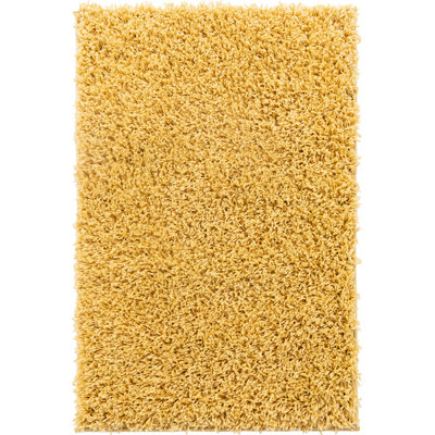Indoor Rug