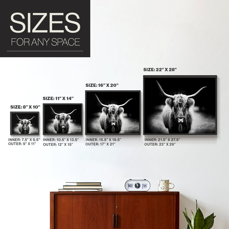 Photography Study Highland Cattle -Framed Print - Restickable