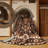 Machine Washable Persian Brown Area Rug-2107374155