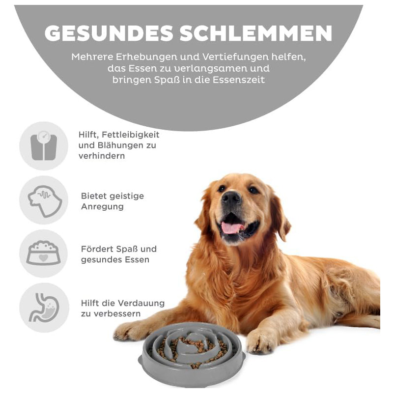 Erdenheim Slow Feeder