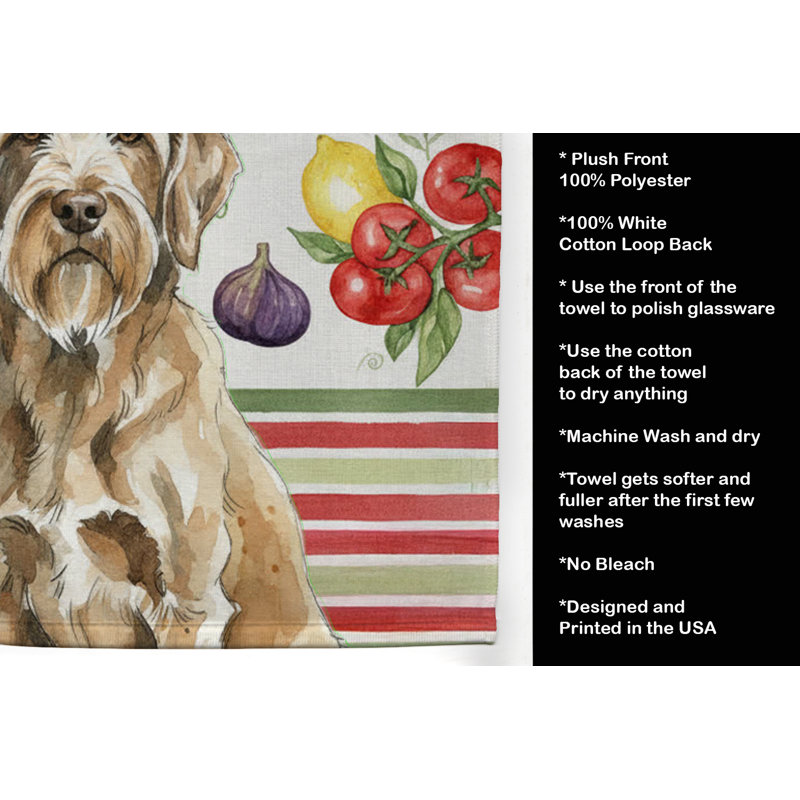 Torchon Spinone Italiano, Spinone Italiano
