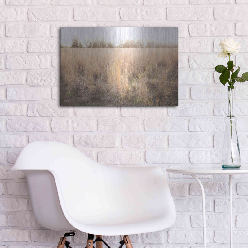 «Bright Sun Haze III» par Donnie Quillen, H 16 po x l 24 po