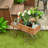Chasitty Planter-1741917179