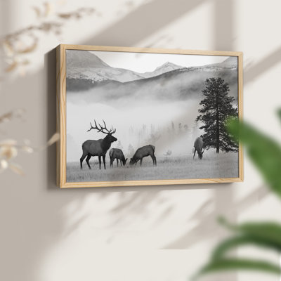 Élan des montagnes - reproduction encadrée - réarmable