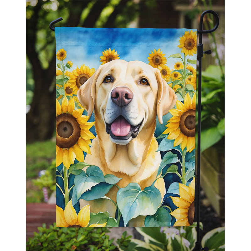 Lévrier irlandais dans le drapeau du jardin de tournesols, Labrador Retriever