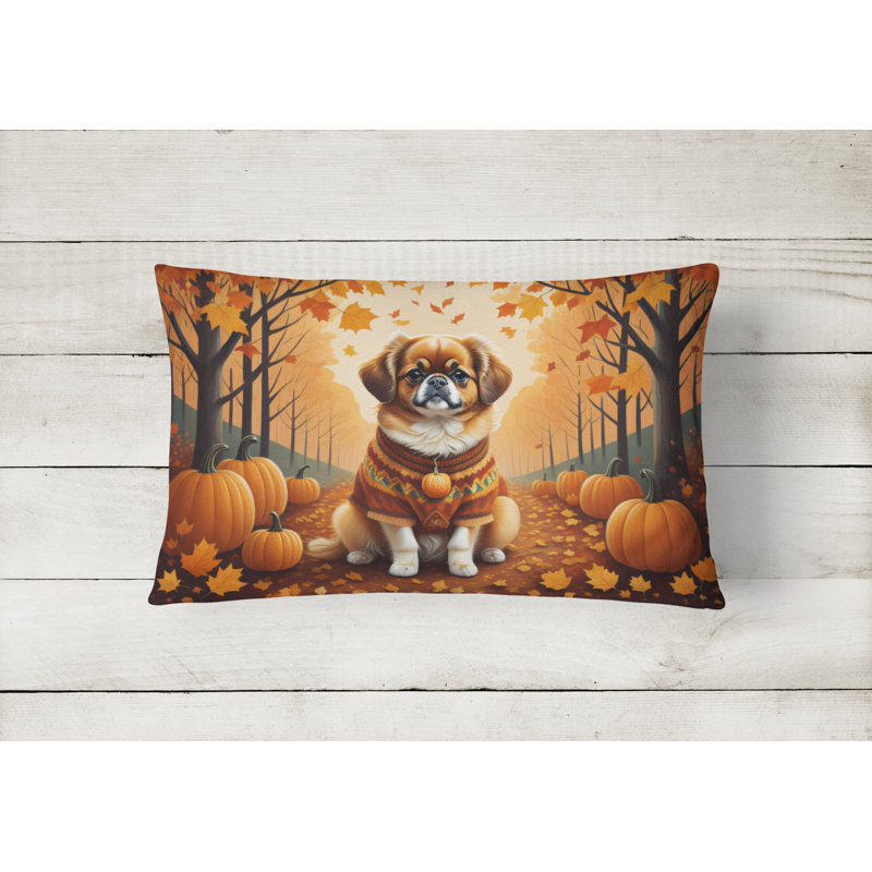Other/No Pattern Outdoor Throw Pillow