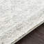 Narine Machine Woven Grey/White Indoor Rug-1484723509