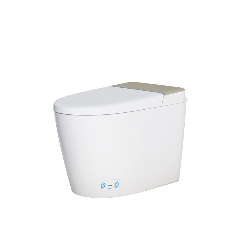 Toilette intelligente avec siège de bidet intégré, toilette sans réservoir avec ouverture automatique, fermeture et chasse d'eau, siège chauffant, affichage numérique, télécommande, allongée