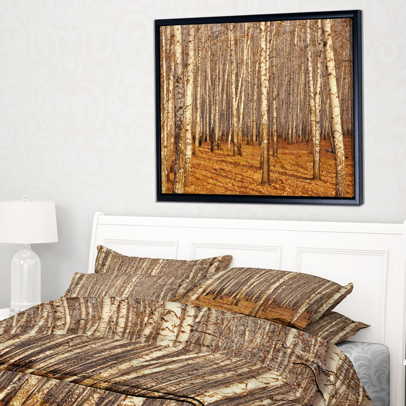 «Dense Birch Forest in the Fall», photographie, H 28 po x l 60 po x P 1,5 po, Toile avec cadre flottant