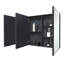 Mirrored Wardrobe