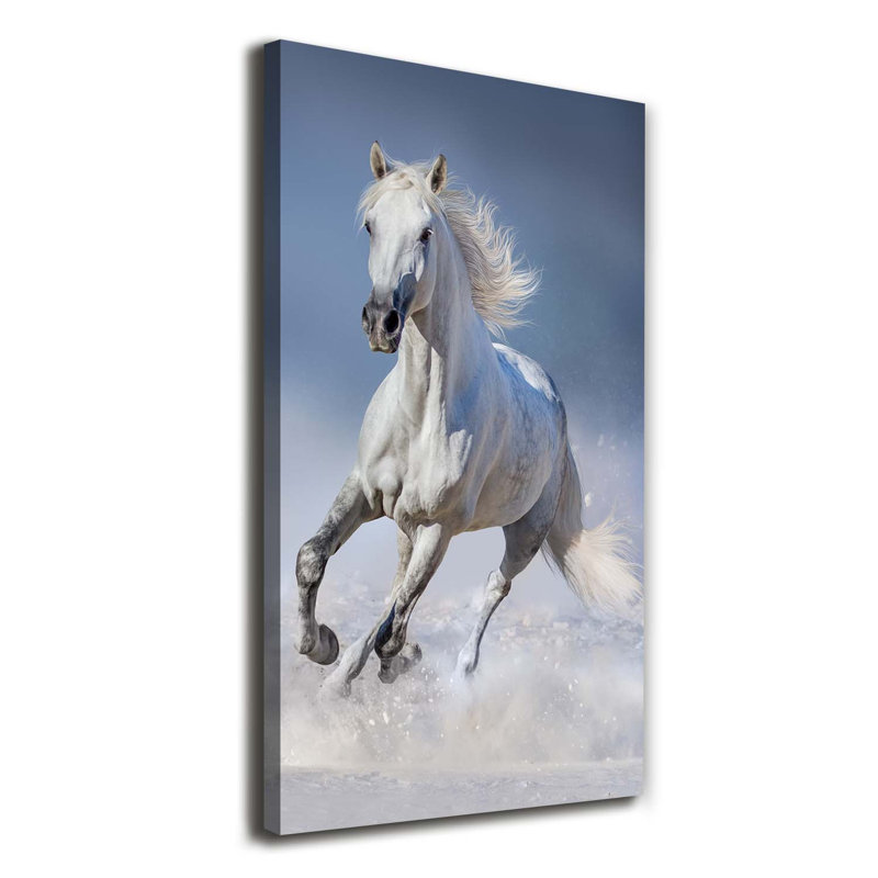 White Horse In Gallop - Wrapped Canvas Print