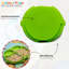 Berek Owl 20.5cm Dinner Plate