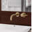 Trinsic Wall Mount Bathroom Faucet 2 Hole, Brushed Gold Bathroom Sink Faucet for Vanity, Champagne Bronze-18327347