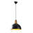 1 - Light Black Single Pendant