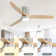 Jovonte 52'' Ceiling Fan with LED Lights