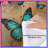Blue Orange Butterflies Comforter-126736947