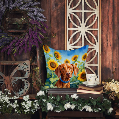 Coussin décoratif intérieur / extérieur Autre / Sans motif