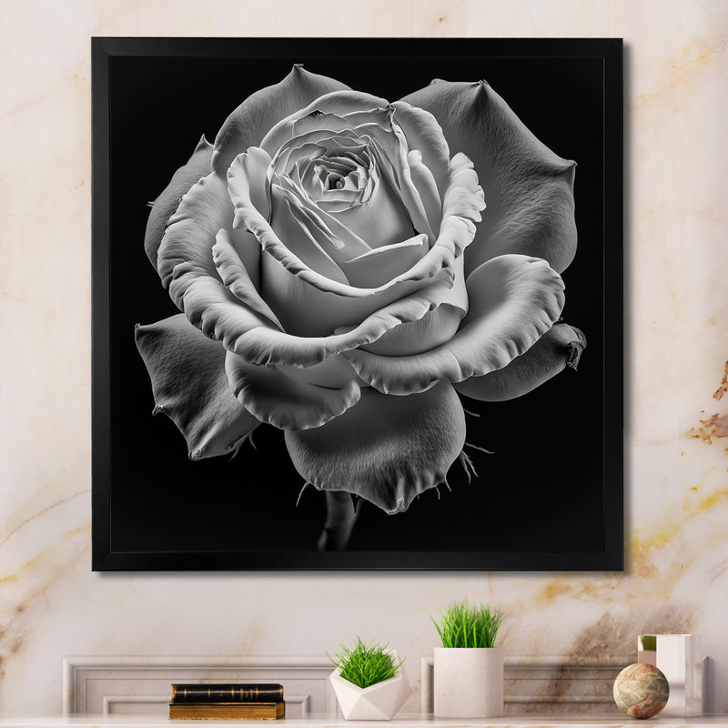 «Blossoming White Rose on Black III», reproduction sur toile, H 16 po x l 16 po x P 1 po, Cadre photo noir