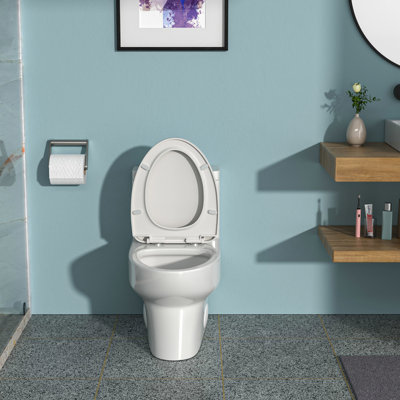Une toilette en céramique avec une chasse d'eau puissante et un coussin de siège silencieux