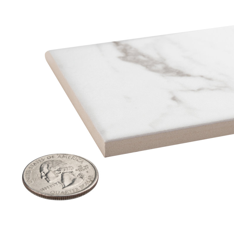 Classico Carrara 6" x 3" Matte Ceramic Bullnose Tile Trim in White/Gray