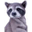 Figurine raton laveur debout