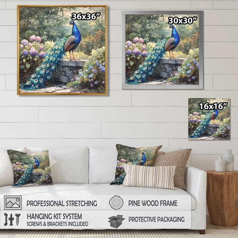 Hamon Peacock In Full Display I - bird Wall Art, 36" H x 36" W, Single Picture Framed Print, Silver