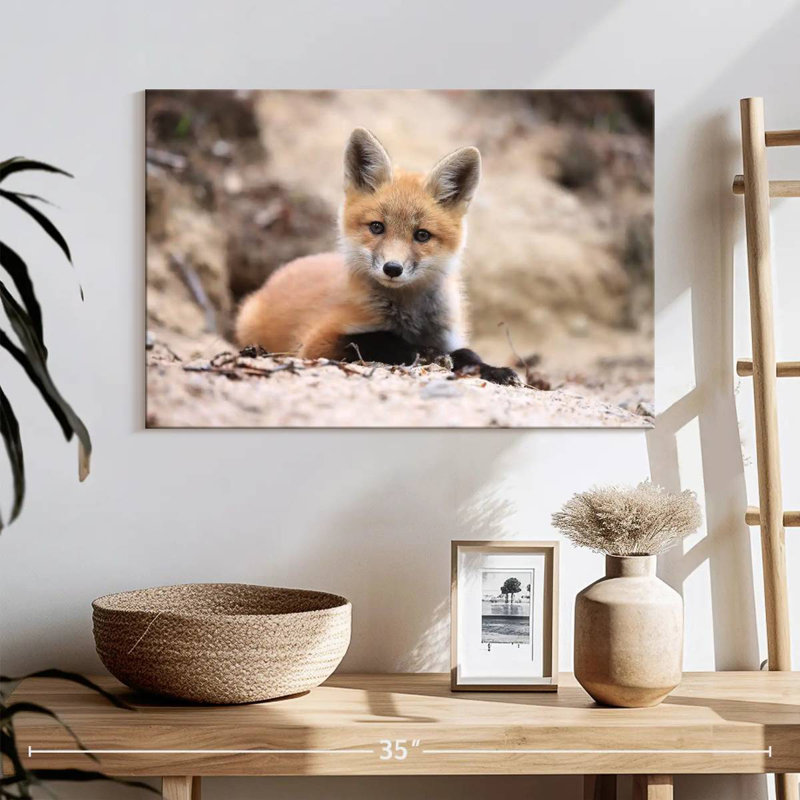 Petit renard brun, H 16 po x l 24 po