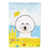 Bichon frisé