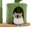 Arbre à chat 32 pouces cactus