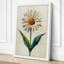 Pale Daisy Study Botanical - Wrapped Canvas-138198700-138198702