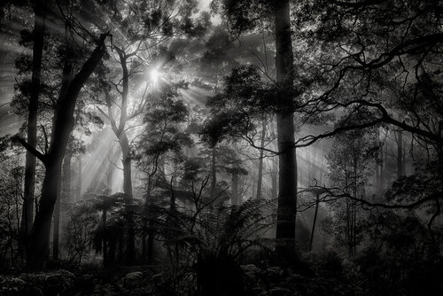 Wrapped Canvas Print, 60.96 cm H x 91.44 cm W