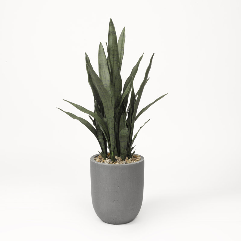42 " H Faux Snake Plant in Resin Planter