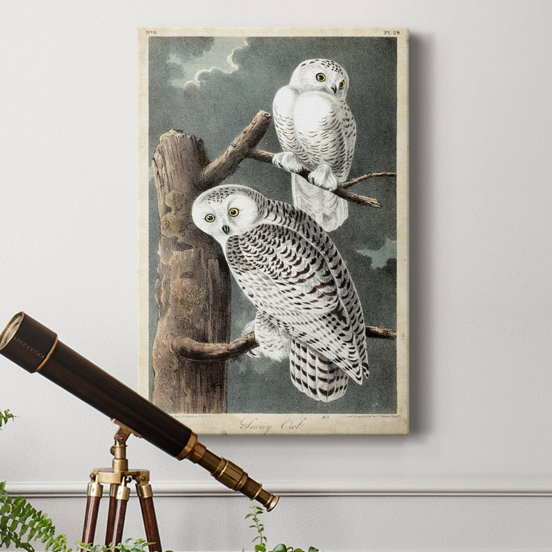 Audubons Snowy Owl - impression sur toile tendue, H 12 po x l 8 po x P 1 po