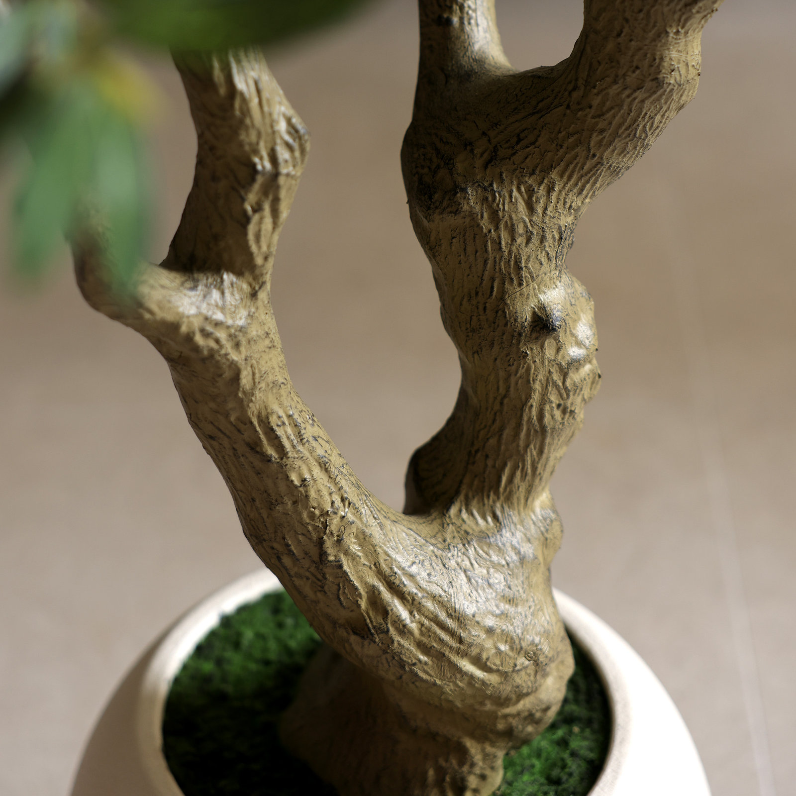 Ashwell Olive Tree in Pot, 60" H x 44" W