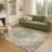 Machine Washable Indoor/Outdoor Chantille ACN2463 Traditional Rug-2027635573-2027635575