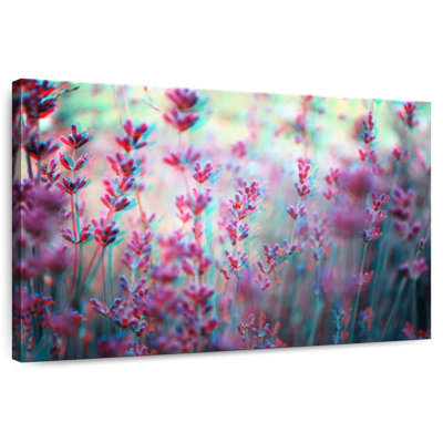 Fleurs de lavande Harnek anaglyph