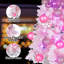Arbre de Noël 24 pi