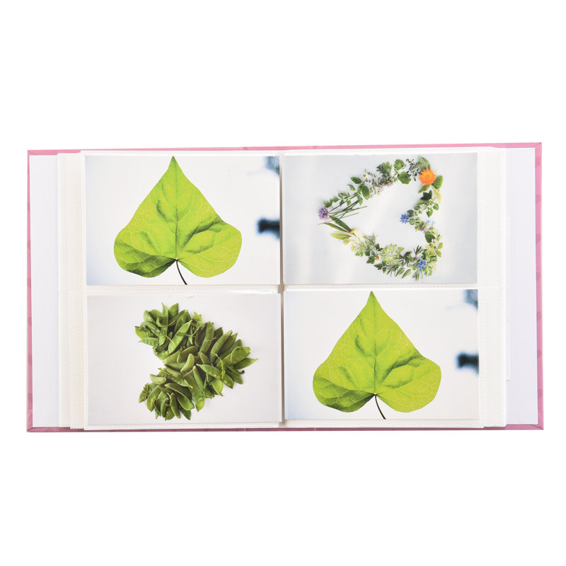 Paper Animals Album