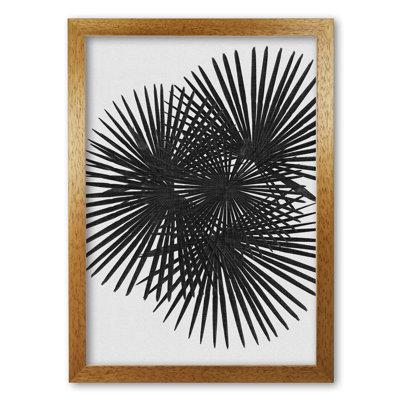 Fan Palm - Print on Canvas