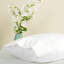 Ensemble de taies d'oreiller en coton 100% satin de coton-122624987-122624988