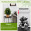 55cm Faux Pine Plant in Pot