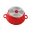 SQ Professional Nea Non-Stick Aluminium Stock Pot-53209695-53235879