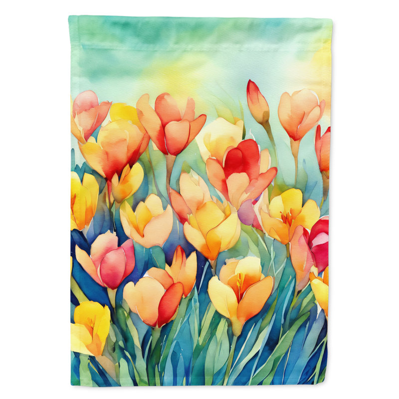 Double Sided 40 in. H x 28 in. W Polyester House Flag