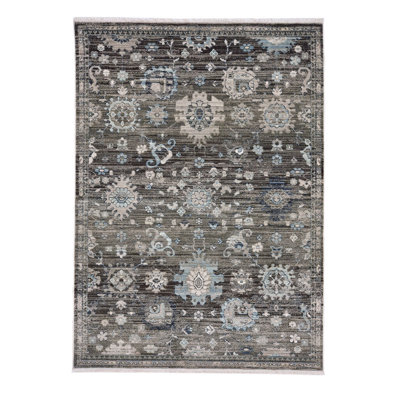 Briallen Oriental Indoor Rug