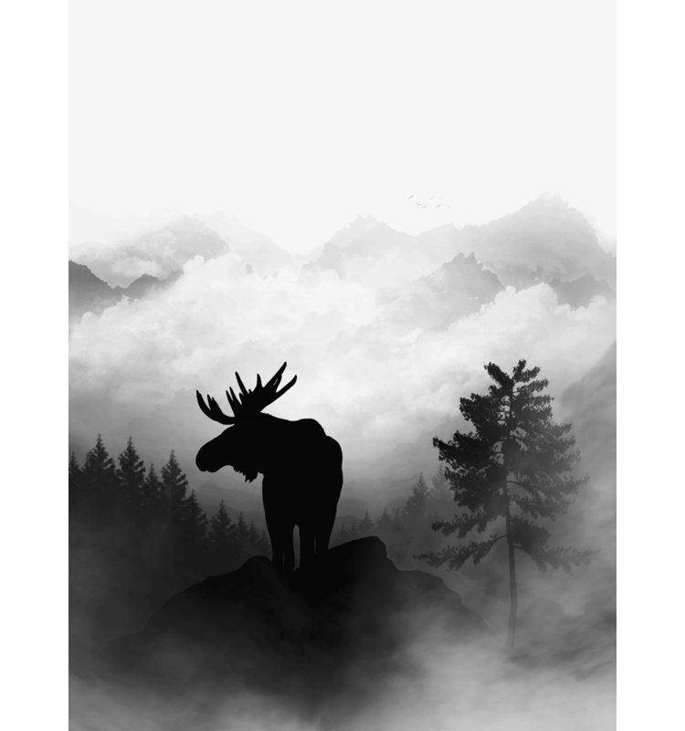 Wrapped Canvas Print, 76.2 cm H x 50.8 cm W