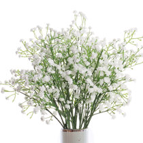 10pcs White Dried Babys Breath Flowers Bouquet, Preserved Fresh Flower  Dried Flower, Gypsophila Branches Long Lasting Flowers For Wedding, Table  Vase