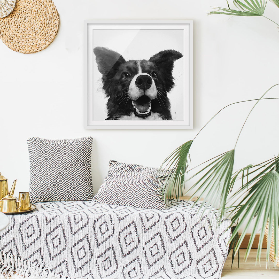 Gerahmtes Poster Illustration Dog Border Collie in Schwarzweiß