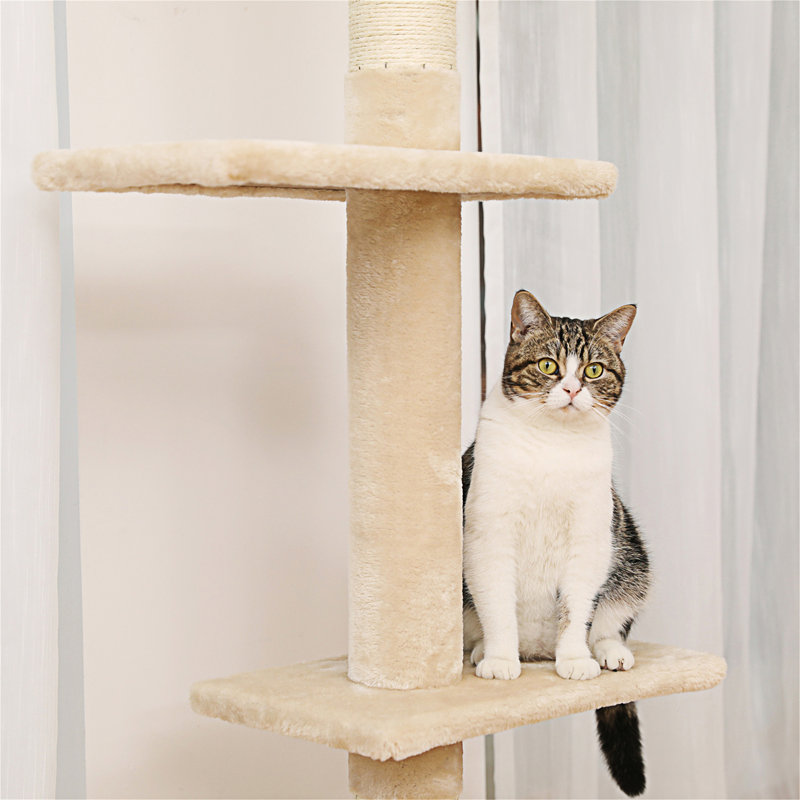 Tour pour chat interactive à 5 niveaux, Beige