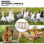 Cage pour petits animaux Genesha